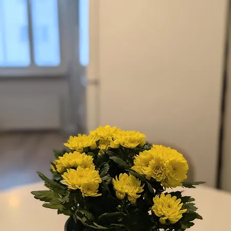 Wonderful,warm & Big In Center * Kemi