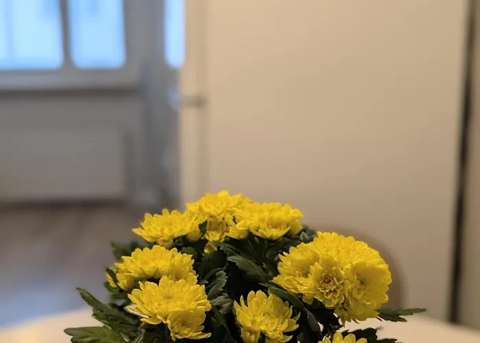 Wonderful,warm & Big In Center * Kemi